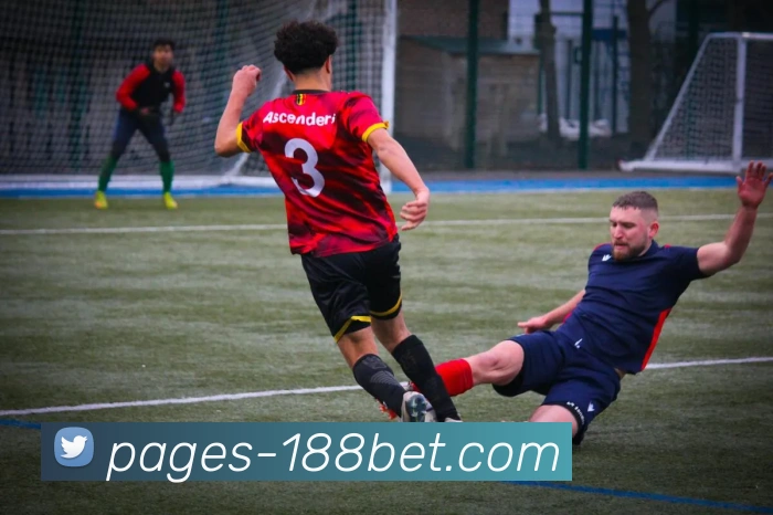 金宝博官网平台生态图